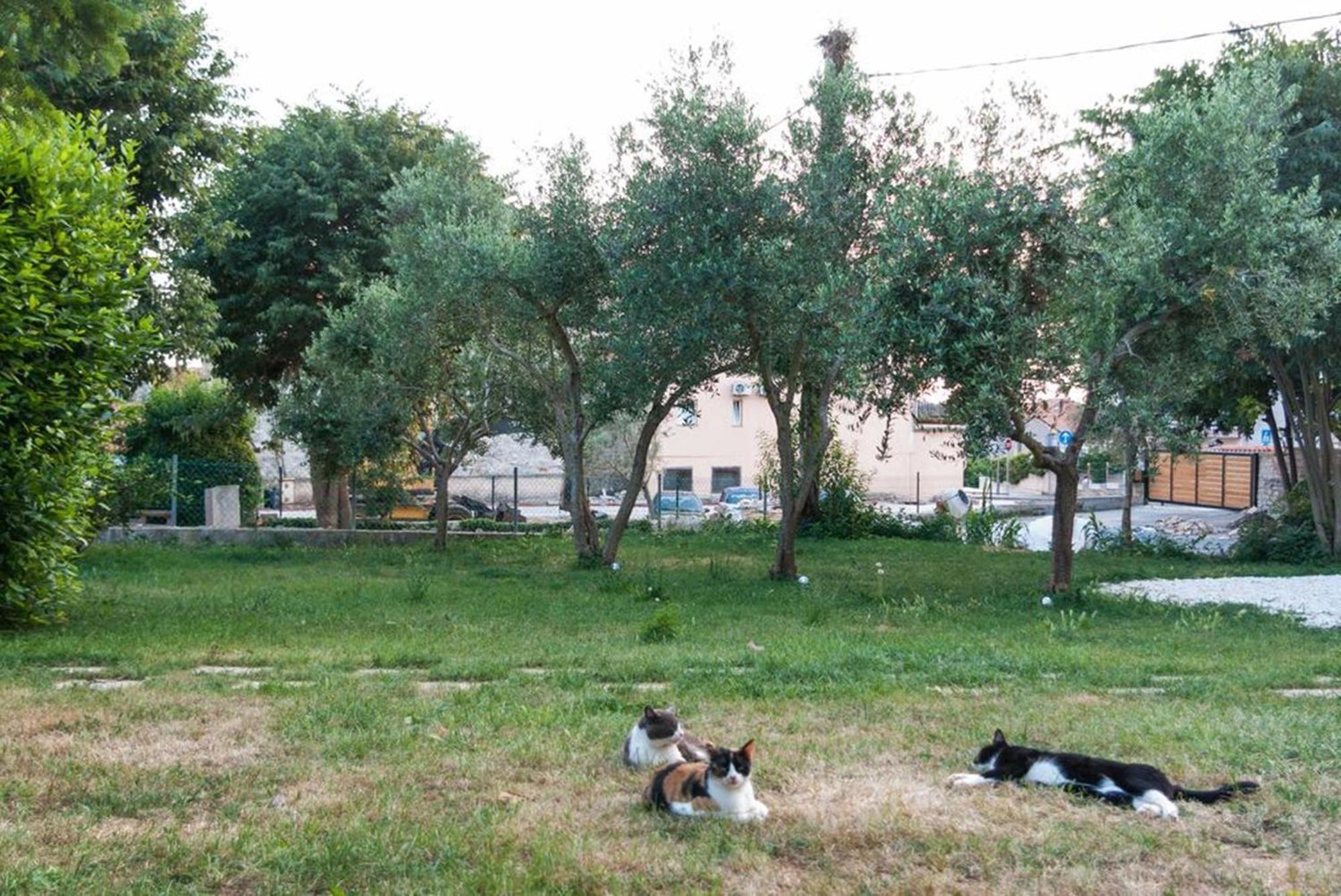 Villa Mediterranea - Apartments Medolino Camera foto